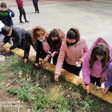 DÍA MUNDIAL DE LA MADRE TIERRA en el IES RÍO AGUAS