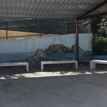 Nuevos bancos de piedra para el patio trasero