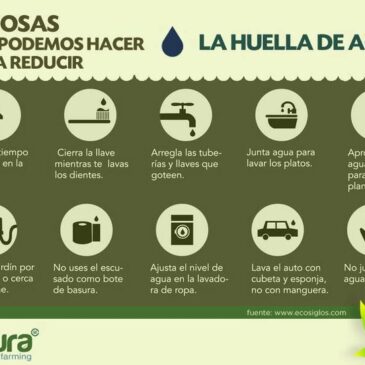 Día Mundial del Agua – Cosas que podemos hacer mejor