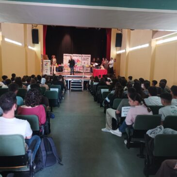 VI Concurso X-PRIME