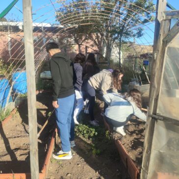 Proyecto Huerto Escolar